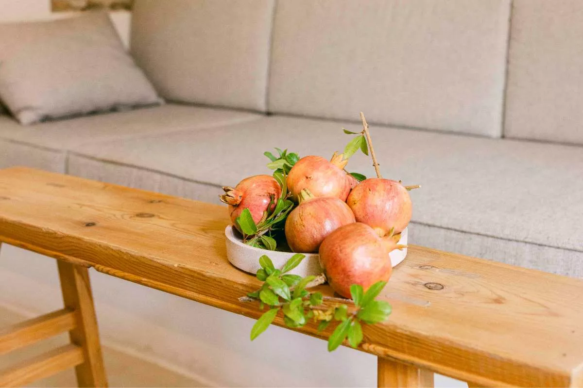 ΚΑΛΟΚΑΙΡΙΝΗ ΔΙΑΘΕΣΗ 